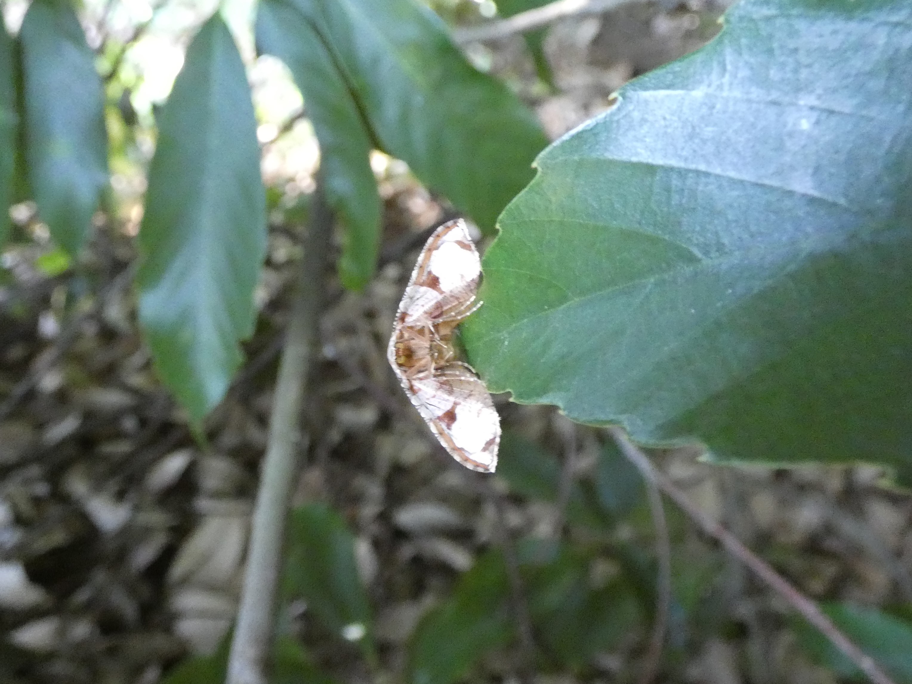 photo_3